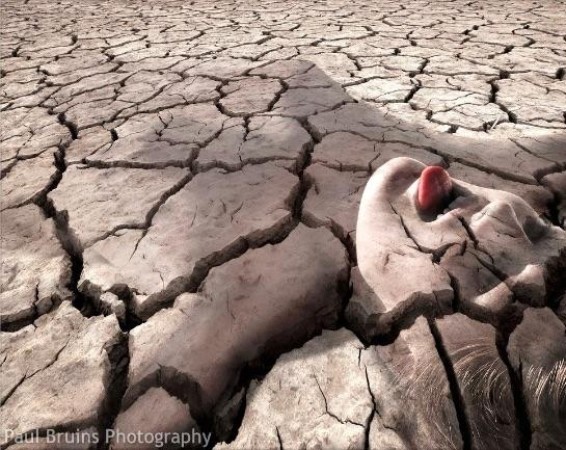 La sorte del clima dipende dai signori della guerra