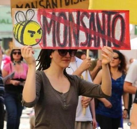 monsanto6